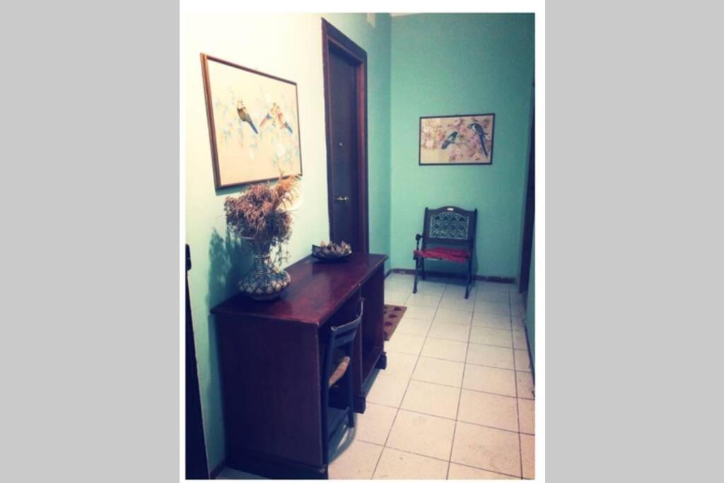 Cosy Studio Flat On The Seaside Daire Lido di Ostia Dış mekan fotoğraf